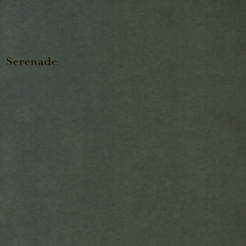 선우정아_-_정규_3집_SERENADE.png